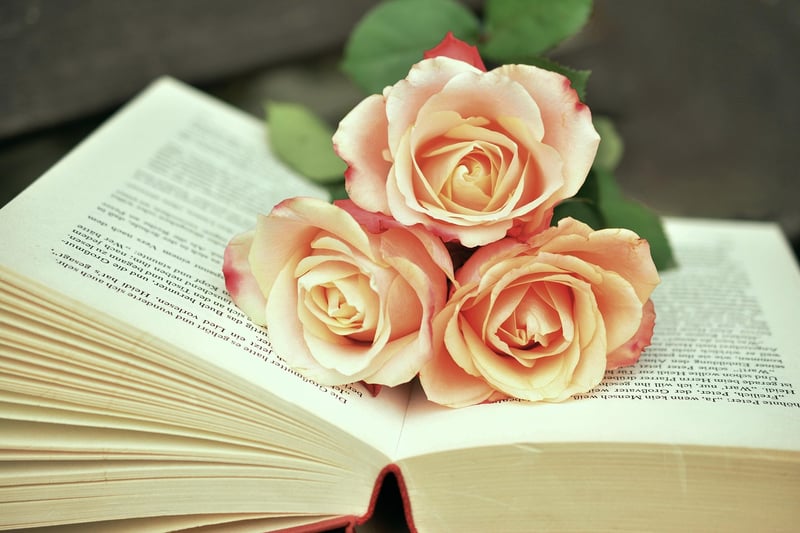 Outlander Book