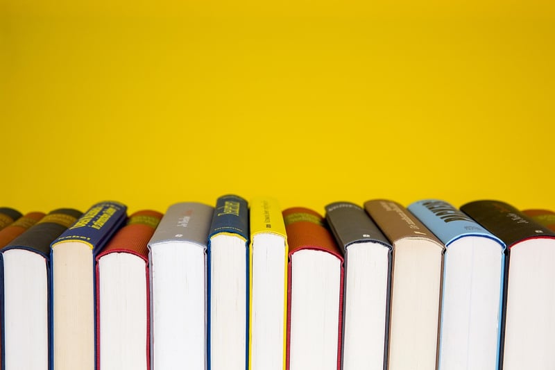 Sapiens Book